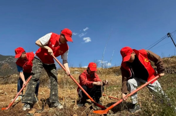 川交公司各项目沉浸式植树